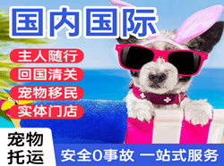 兰旗航空运输国际宠物托运 【国